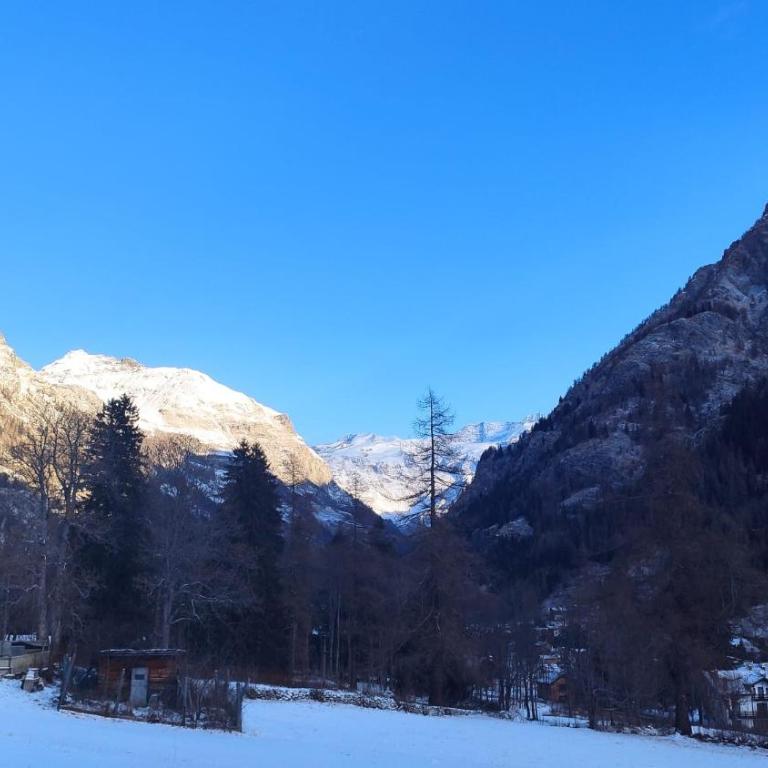 Appartamento Gressoney-Saint-Jean (Obre Biel) - I Larici - Appartamento con 1 Camera da Letto - 2