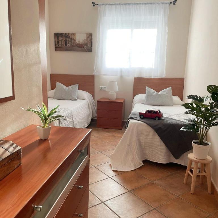 Chalet Hercules la barrosa - Casa de 3 dormitorios - 25