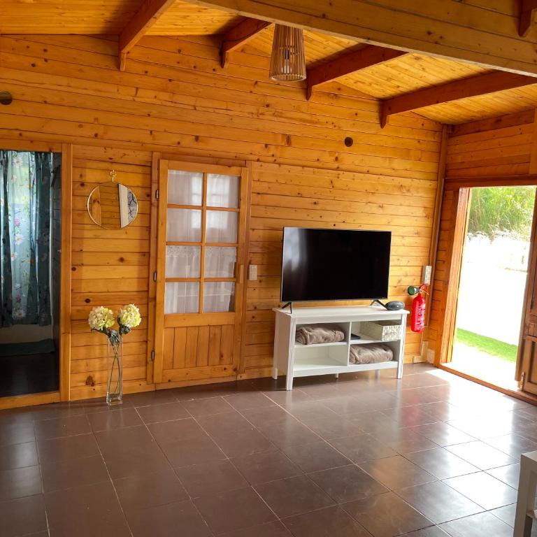 Agradable Mini Casa de madera con jardín amplio - Chalet de 1 dormitorio - 1