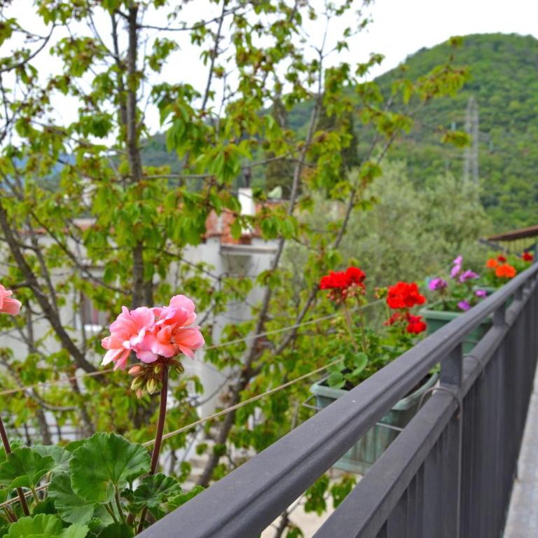 Tivat Apartments - Deluks Dvokrevetna Soba sa Bračnim Krevetom - 46