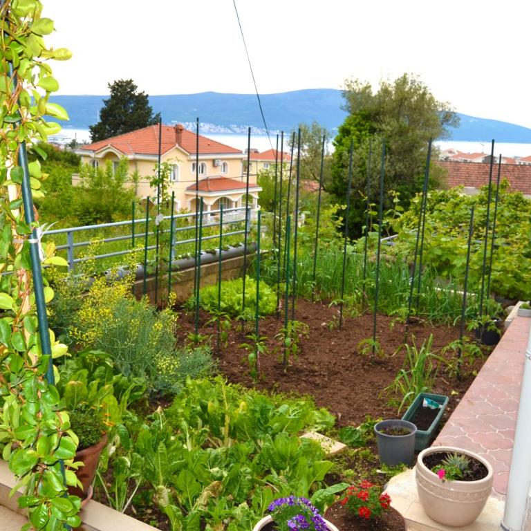 Tivat Apartments - Deluks Dvokrevetna Soba sa Bračnim Krevetom - 66