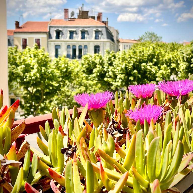 Hôtel Paul Riquet - Chambre Double avec Terrasse - 11