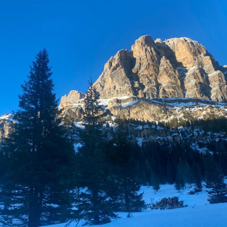 The Grey Lodge at Bosco Verde - Appartamento con 3 Camere da Letto - 39