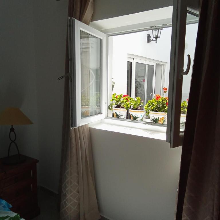 Casa Alba 1 - Apartamento de 1 dormitorio - 30