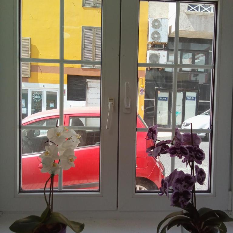 Casa Alba 1 - Apartamento de 1 dormitorio - 29