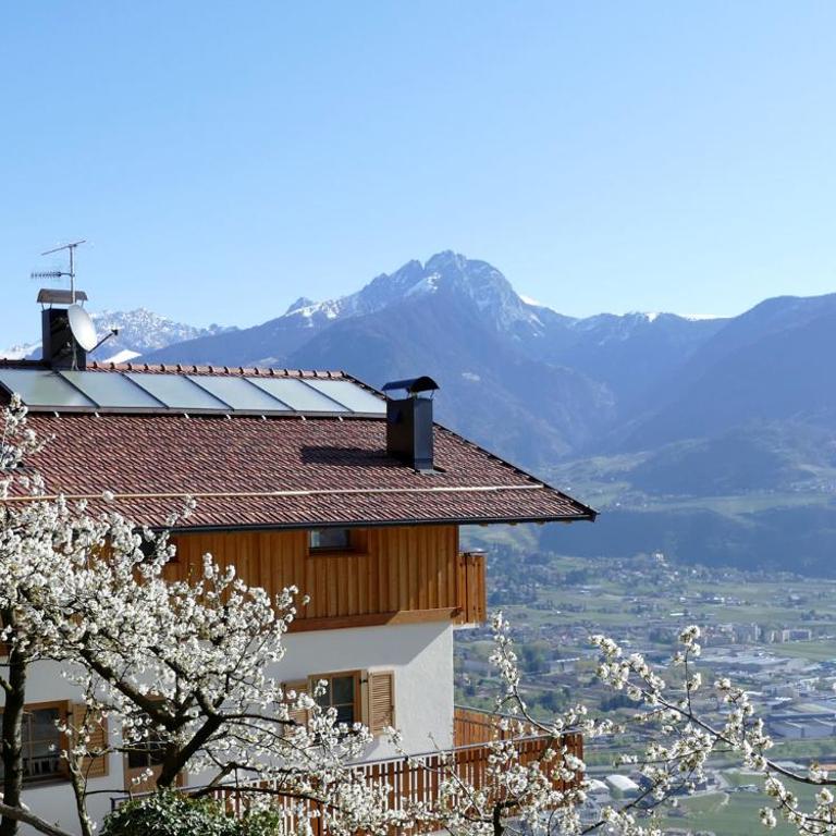 Der Luemerhof I Urlaub auf dem Bauernhof mit Panoramablick - Appartamento con 1 Camera da Letto - 1
