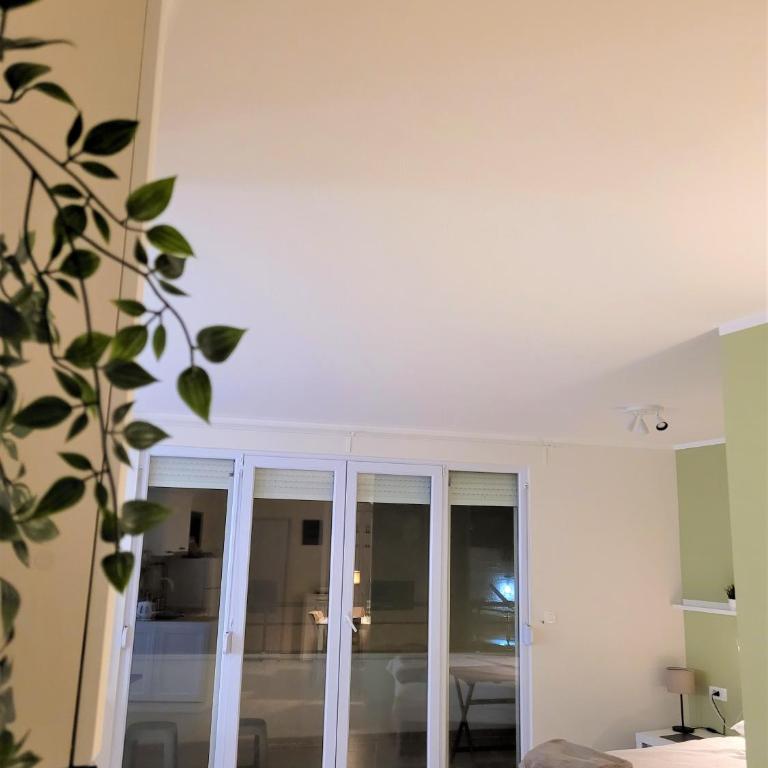 Bella Budva - Studio Lit Queen-Size - 9
