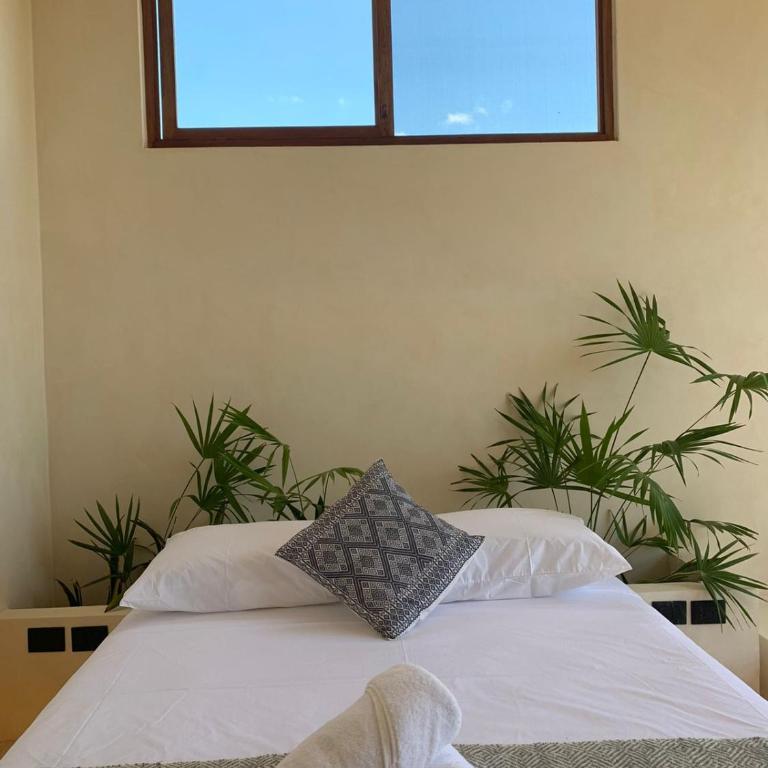 Tikul Hotel Boutique - Suite con cama grande - 7