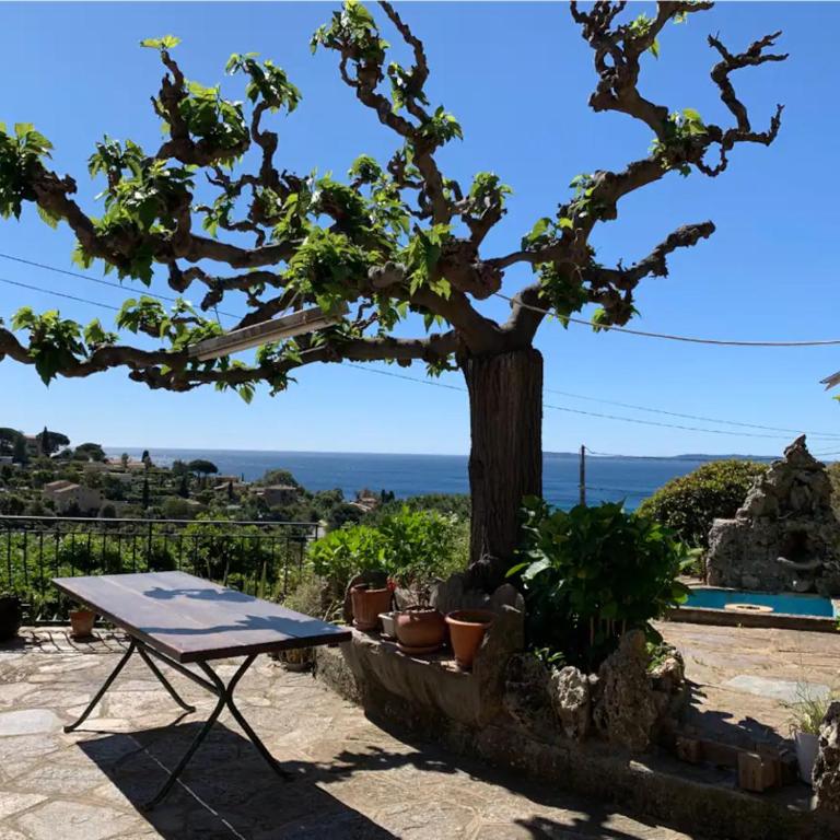 Villa Provençale avec vue mer panoramique - Villa - Vue sur Mer - 1