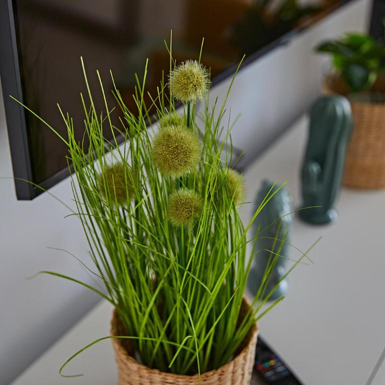 Cactus Sombrerudo- bright apartment next to Yumbo - Apartamento de 1 dormitorio - 57