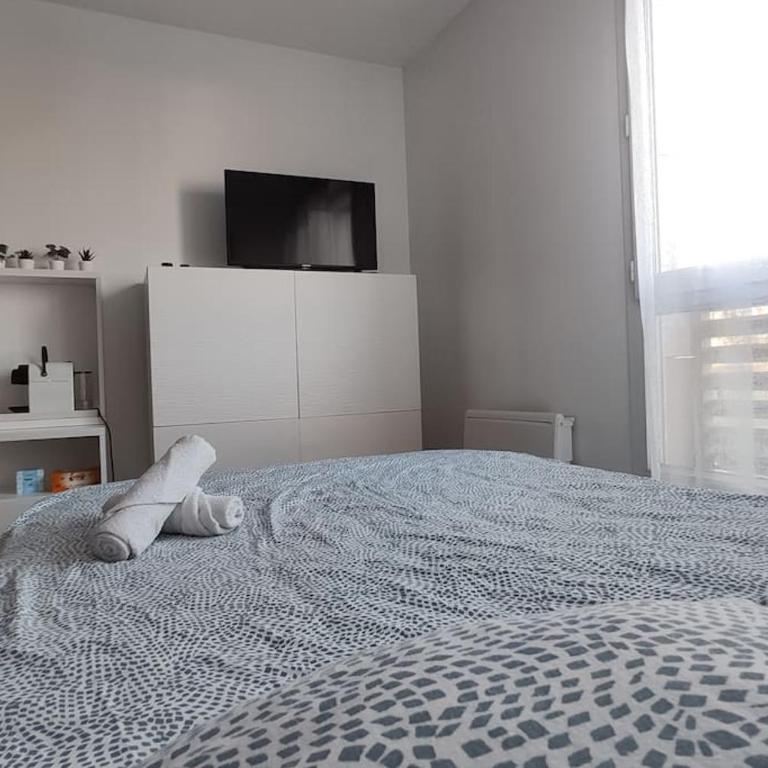 Little Explorer*Studio*DisneyLand*ValDeurope*Paris - Appartement 1 Chambre - 5