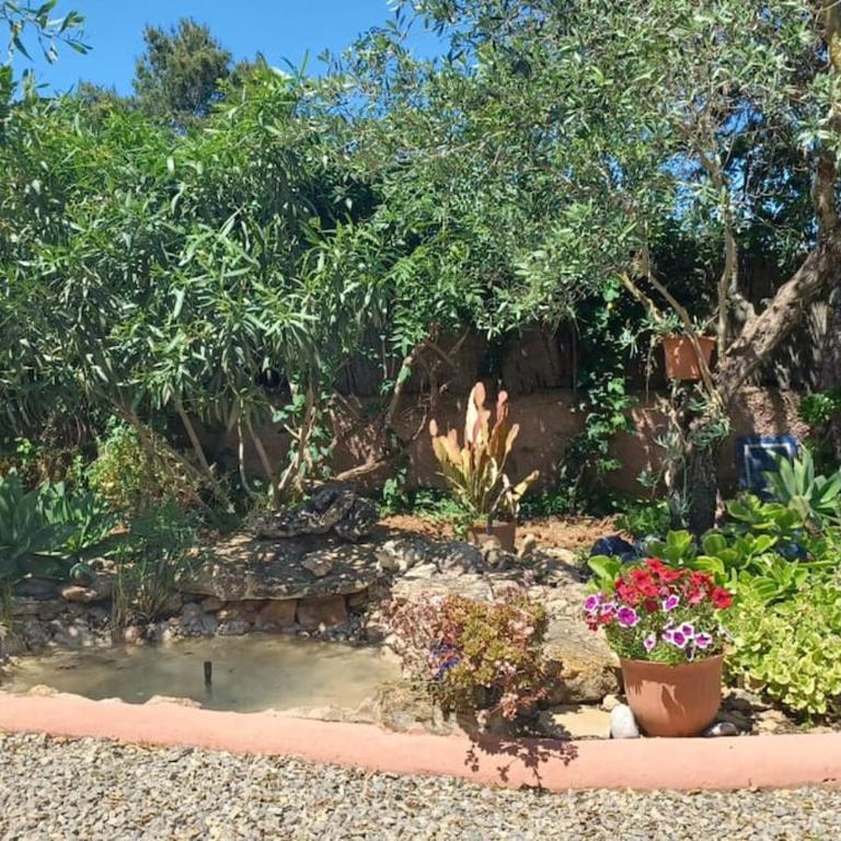 Can reganes - Casa - 29