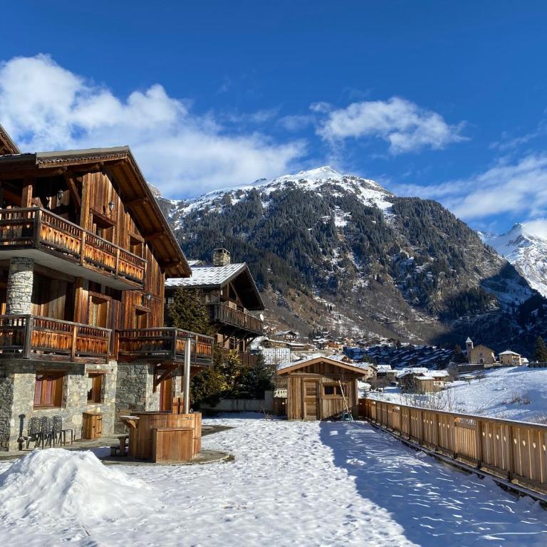 Chalet des Trappeurs Coeur Vanoise 15 persons - Chalet - 1