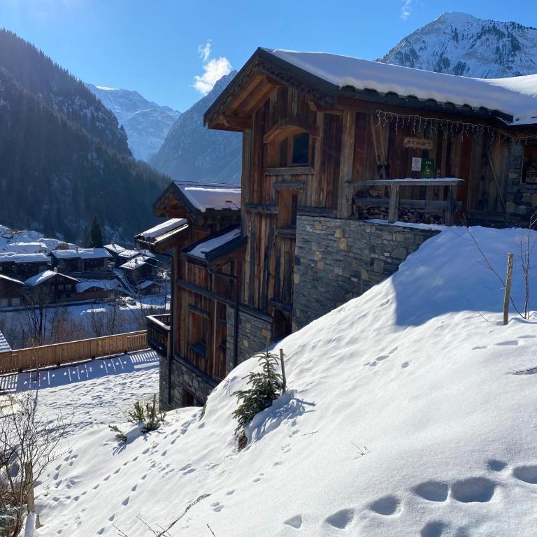 Chalet des Trappeurs Coeur Vanoise 15 persons - Chalet - 8