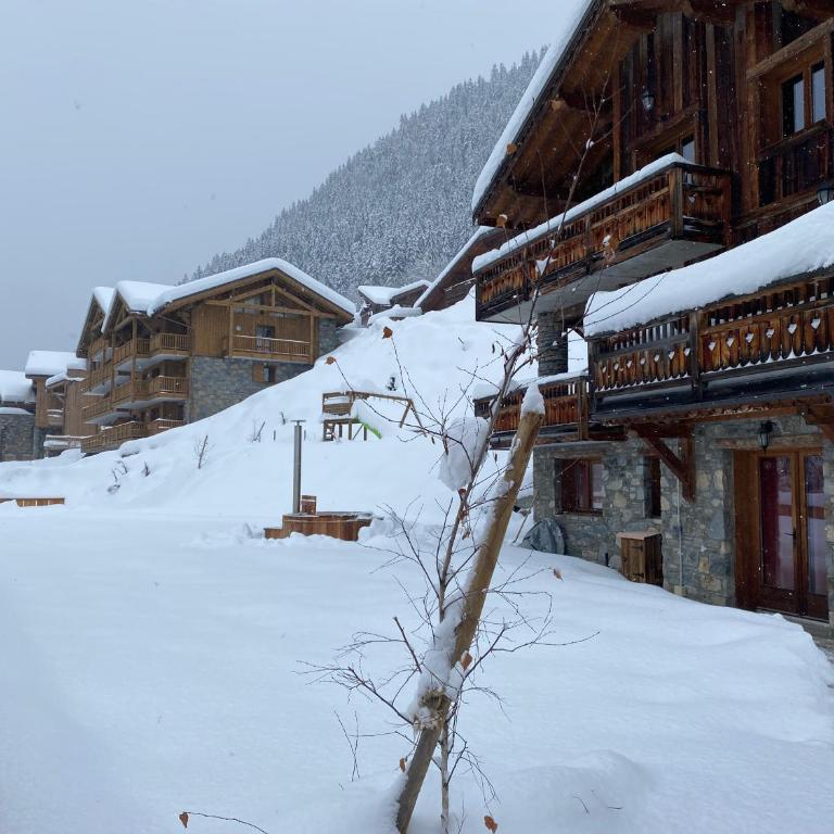 Chalet des Trappeurs Coeur Vanoise 15 persons - Chalet - 61