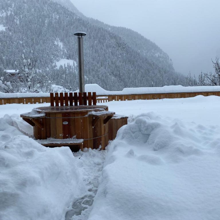 Chalet des Trappeurs Coeur Vanoise 15 persons - Chalet - 63