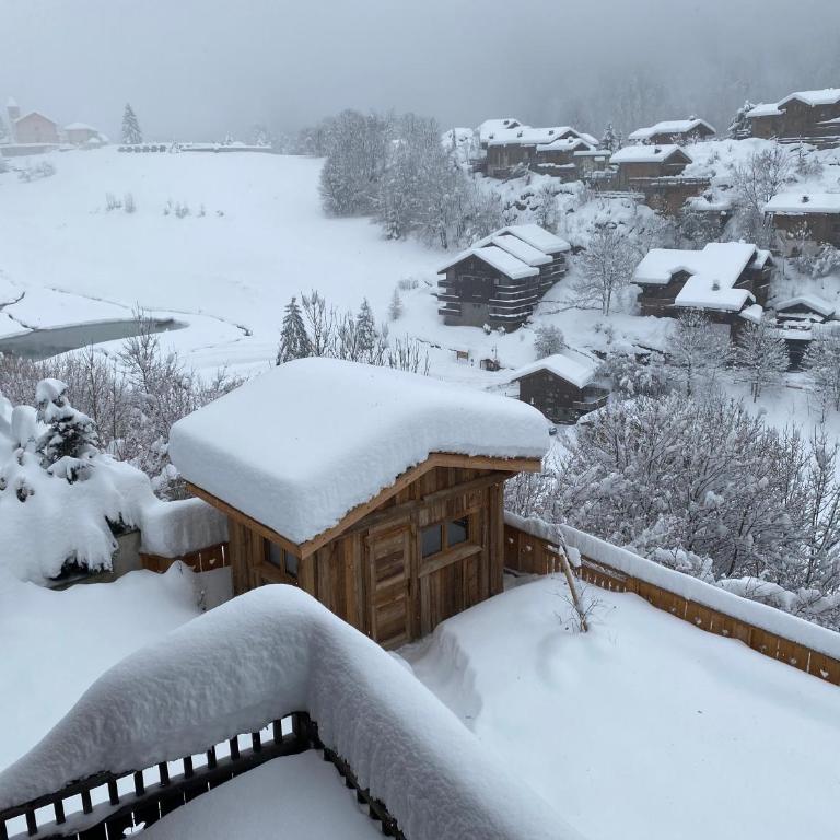Chalet des Trappeurs Coeur Vanoise 15 persons - Chalet - 48