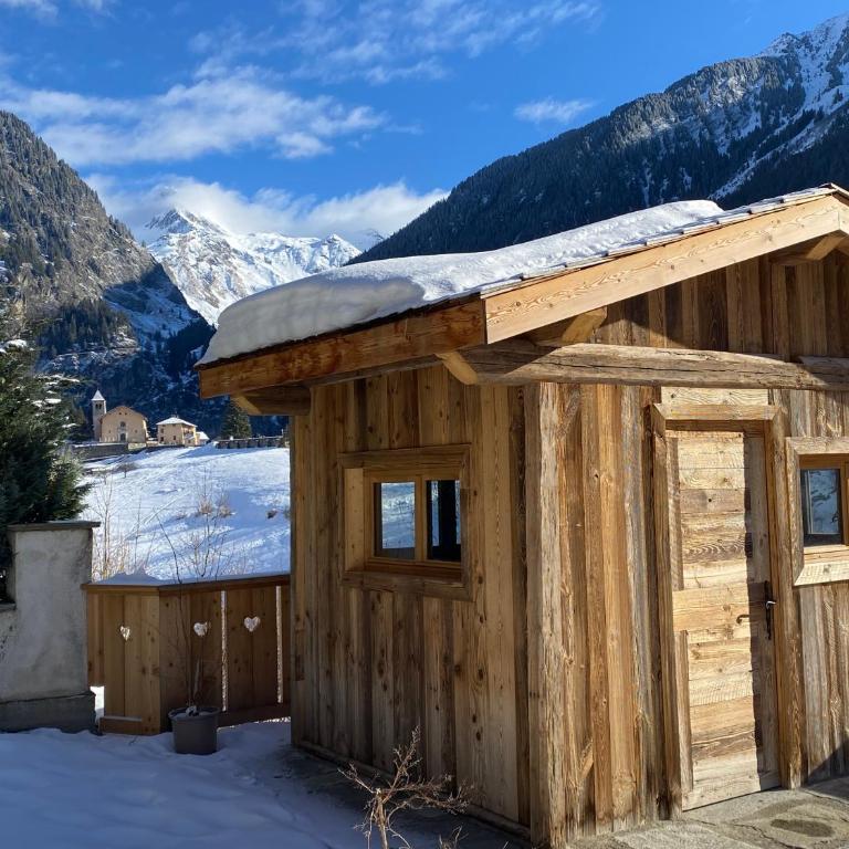 Chalet des Trappeurs Coeur Vanoise 15 persons - Chalet - 55