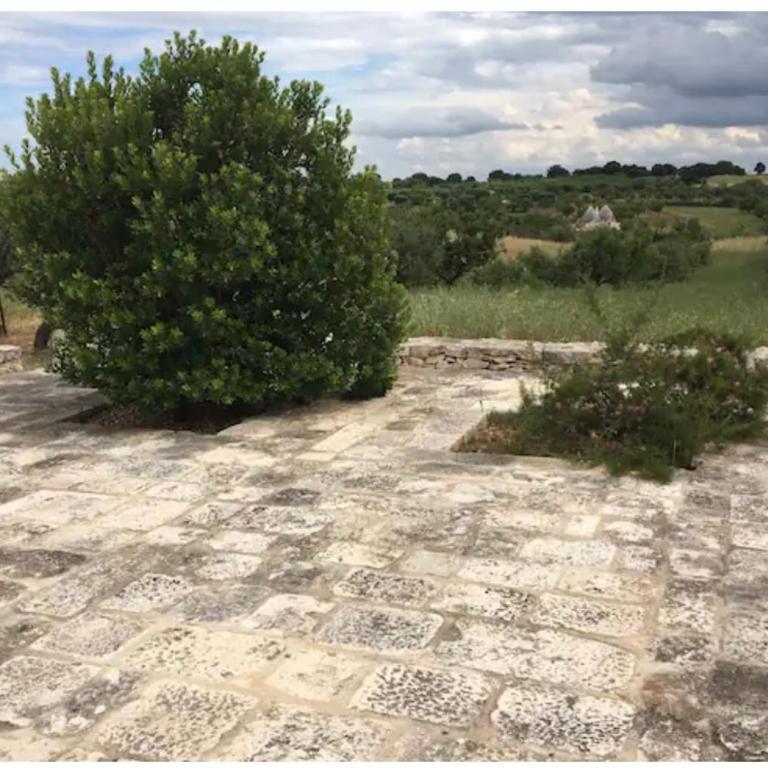 TRULLI LALU INCANTEVOLI ALBEROBELLO - Casa con 2 Camere da Letto - 26