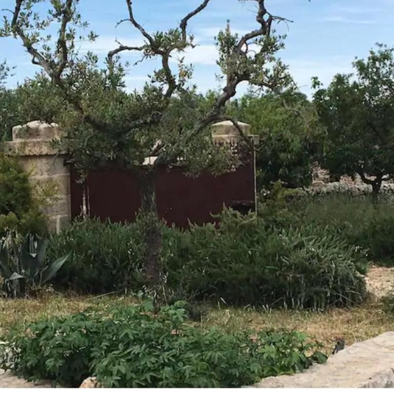 TRULLI LALU INCANTEVOLI ALBEROBELLO - Casa con 2 Camere da Letto - 25