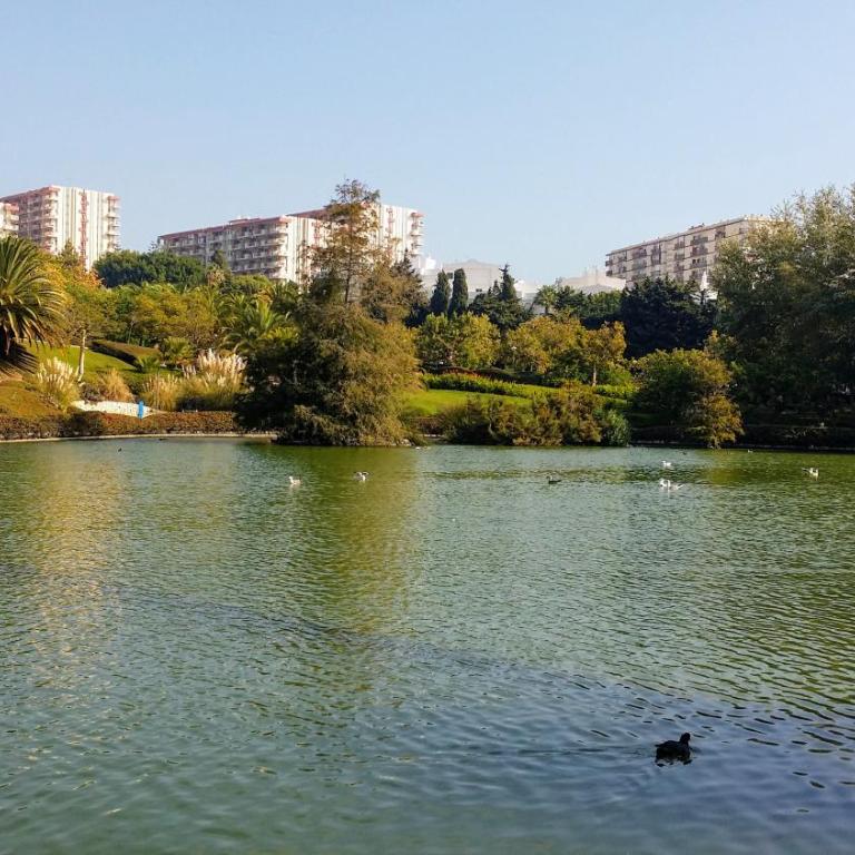 MINERVA APARTMENT WONDERFUL SEA VIEWS - Studio Apartment - 37