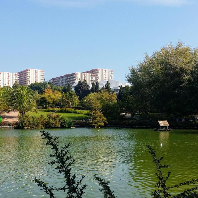 MINERVA APARTMENT WONDERFUL SEA VIEWS - Studio Apartment - 56