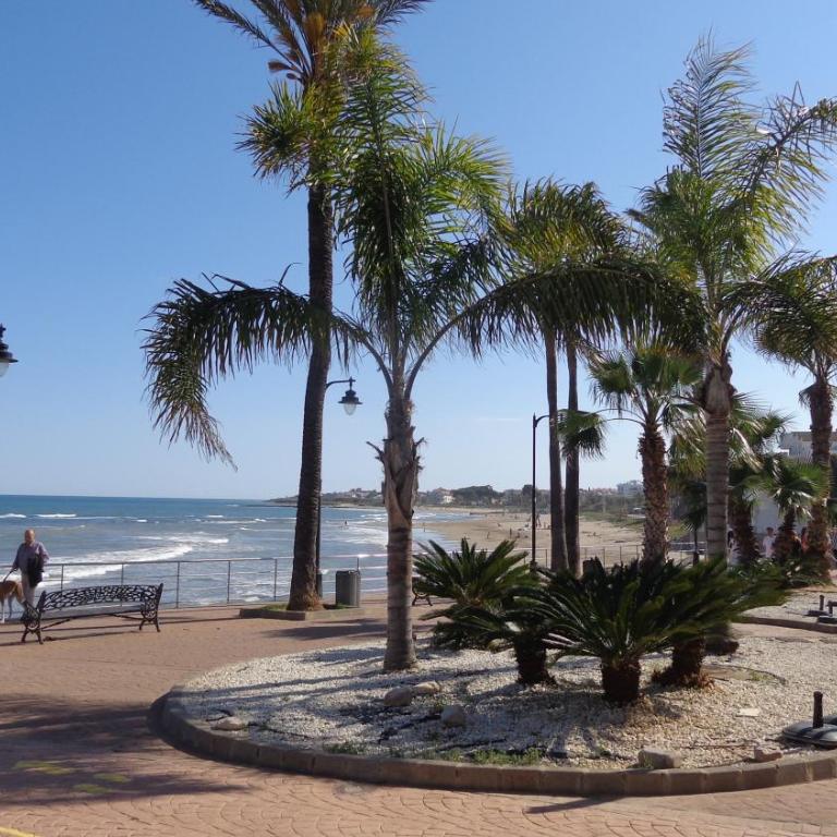 ALCOSSEBRE ALANDALUS Planta Baja con Jardín - Apartamento de 1 dormitorio - 44