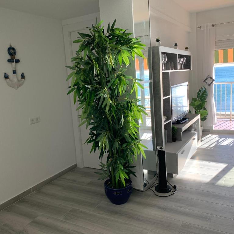 Primera línea en Cullera con piscina. Inmejorables vistas - Three-Bedroom Apartment - 19