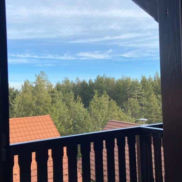 Tara Apartmani Malešević - 2 - Studio apartman sa 1 bračnim krevetom - 16