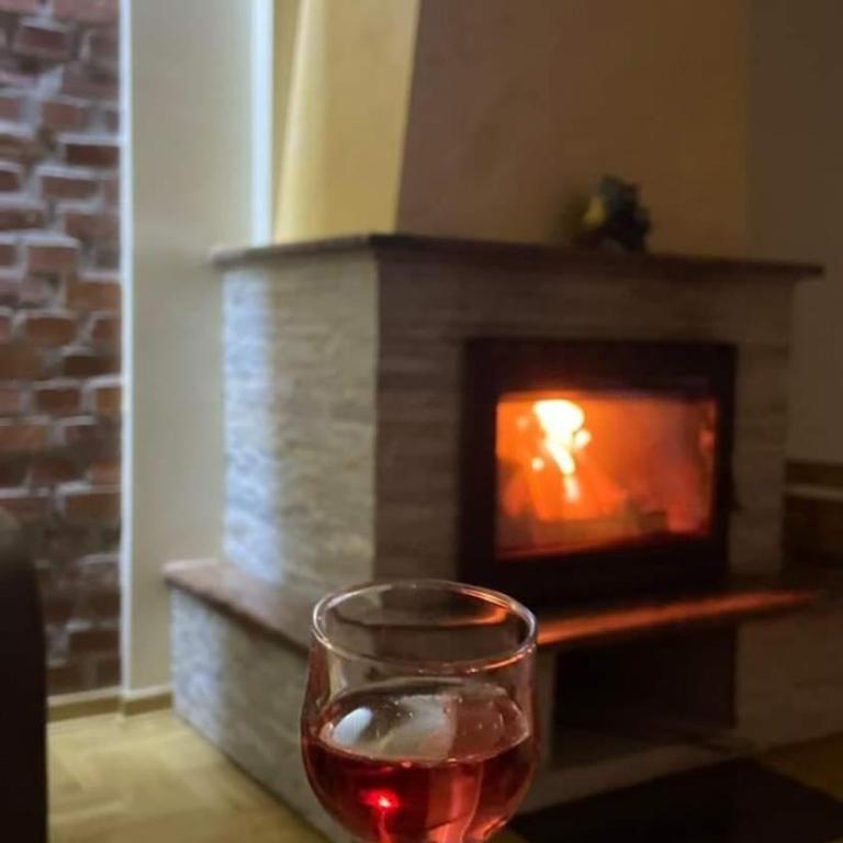 Tara Apartmani Malešević - 2 - Studio apartman sa 1 bračnim krevetom - 22