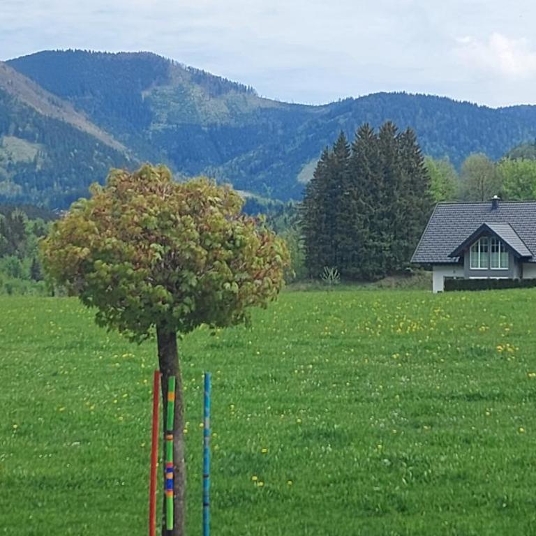 Ferienwohnung Seeberg mit Almfeeling - Two-Bedroom Apartment - 14