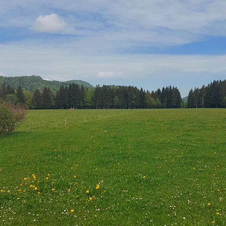 Ferienwohnung Seeberg mit Almfeeling - Two-Bedroom Apartment - 15