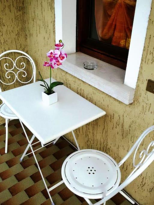 Near to lake and thermal baths with bicycles x you - Appartamento con Vista Giardino - 23