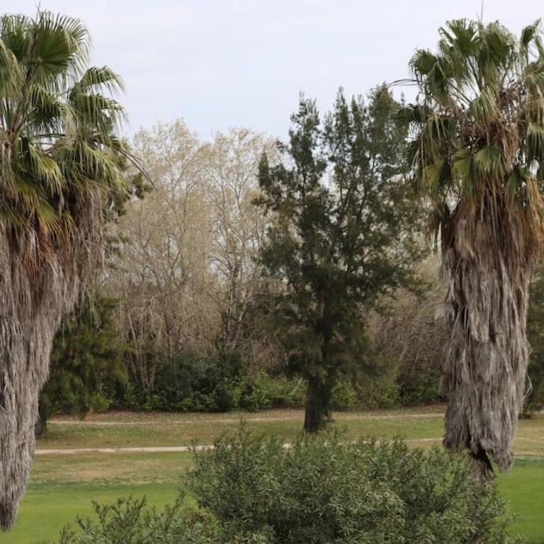 Blue Oliva Nova MET & Golf - Apartamento de 2 dormitorios - 29