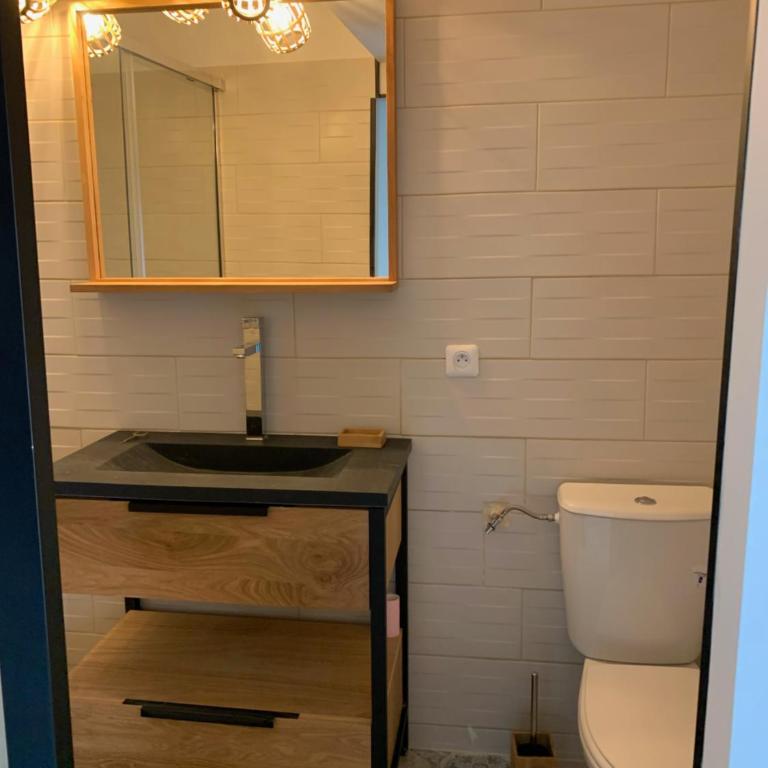 Les dahlias appartement 4 personnes Jacuzzi Barbecue Jardin arboré Climatisé - Appartement - 12
