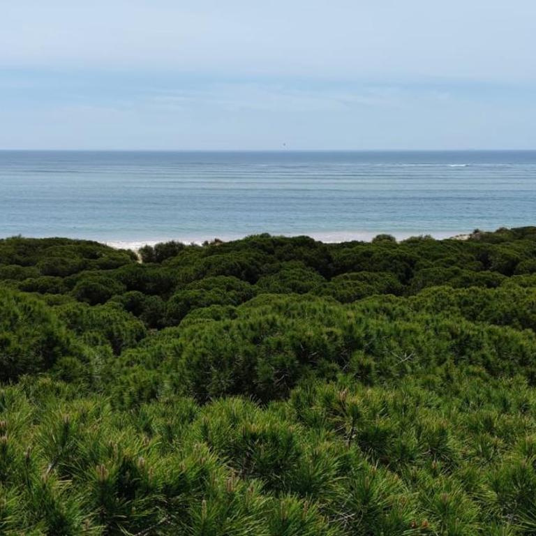 Rota Mar - Two-Bedroom Apartment - 41