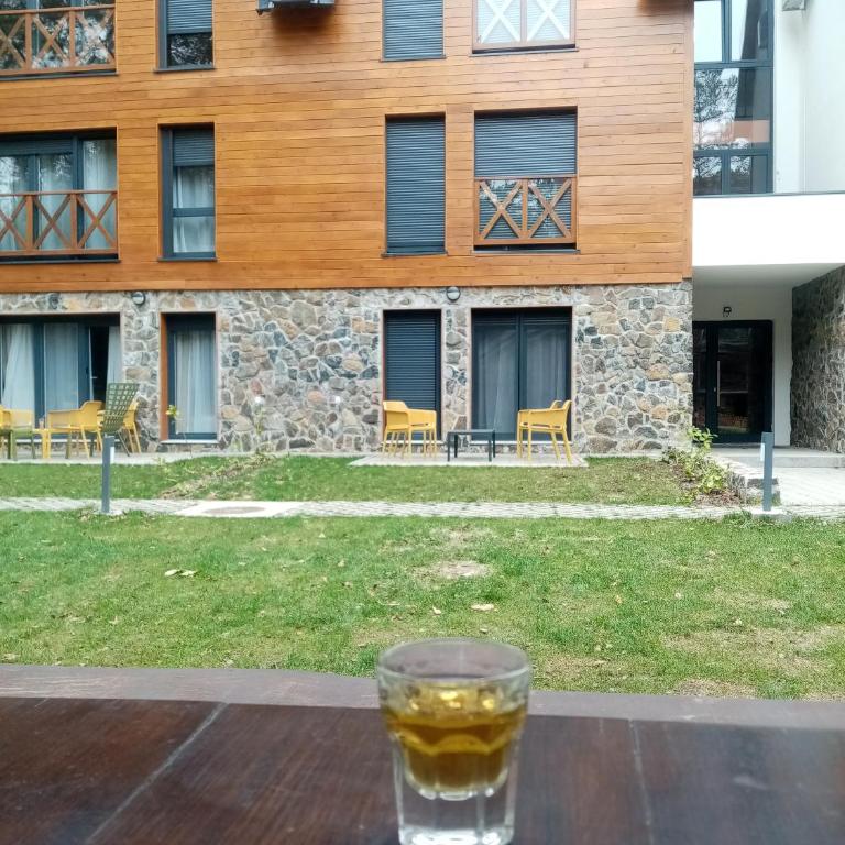 Apartman Pahuljica Divčigora - Apartman sa 1 Spavaćom Sobom - 9