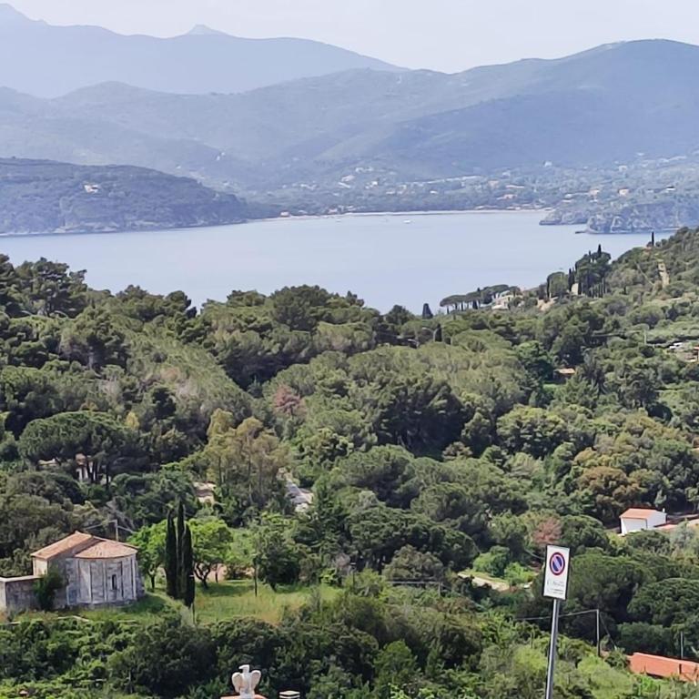 Hollywood Apartment - Appartamento con 1 Camera da Letto - 2