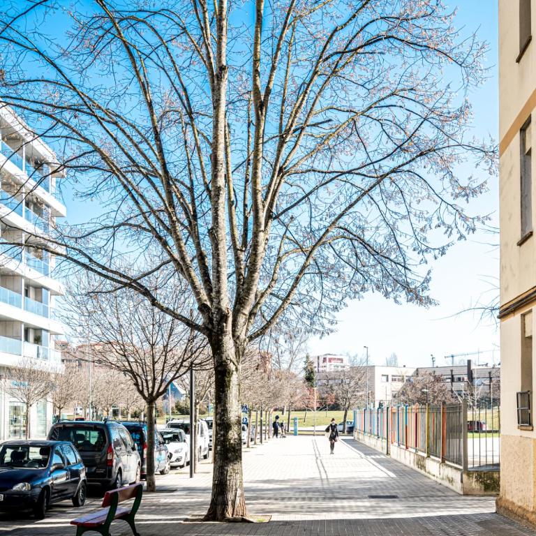 Amandere - Two-Bedroom Apartment - 24
