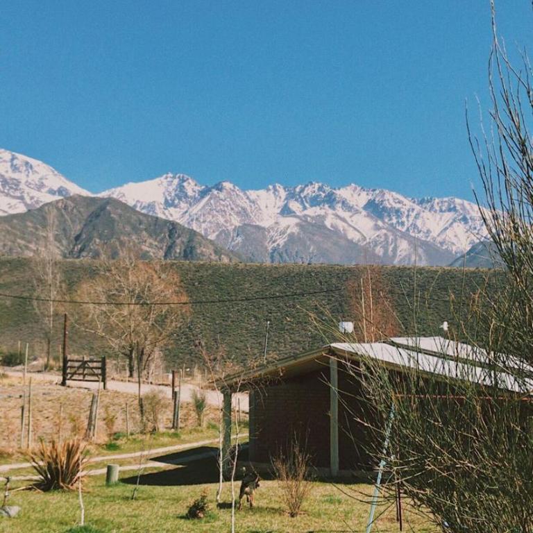 Los Coirones - Bungalow Estándar - 5