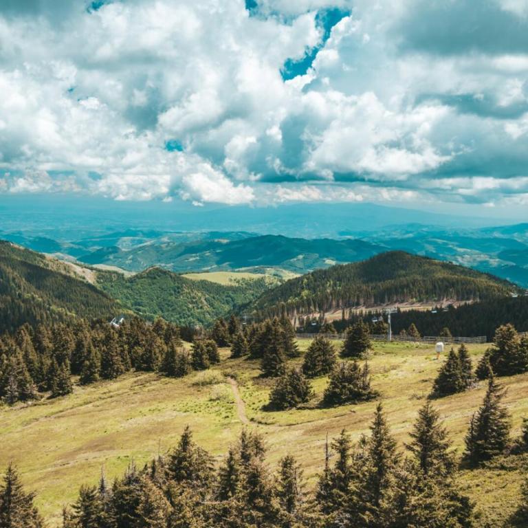 Five-O-Six Apartment, Župa-Kopaonik - One-Bedroom Apartment - 52