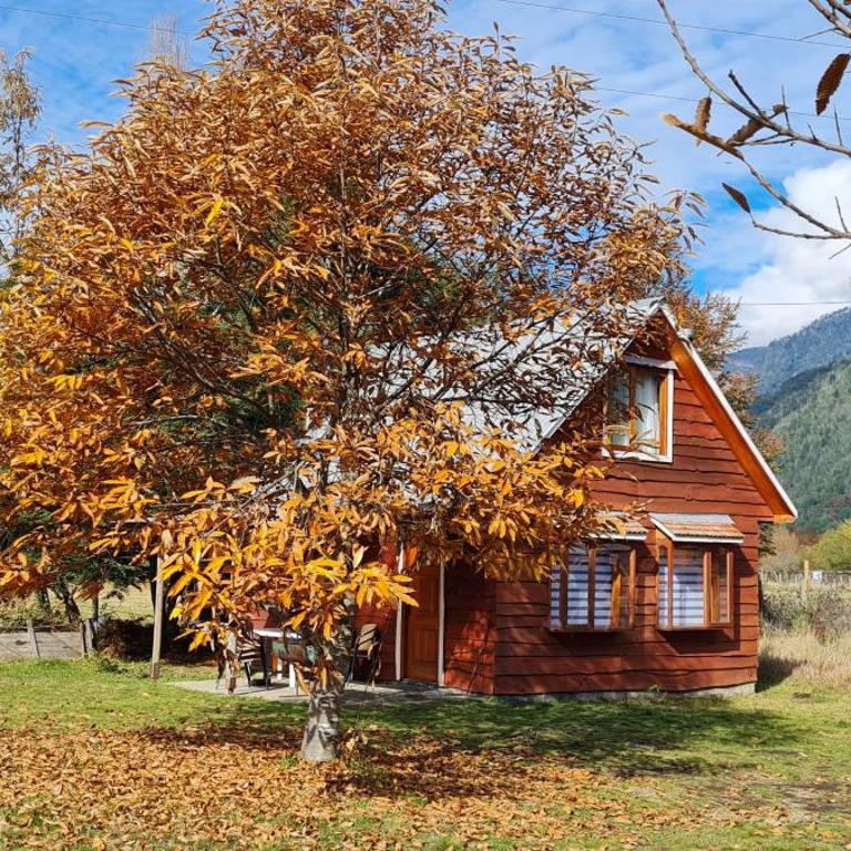 Coñaripe Kuyen Mapu Cabañas - Chalet de 3 dormitorios - 10