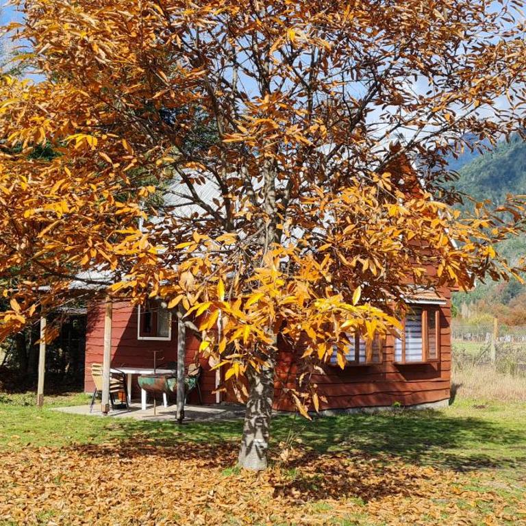 Coñaripe Kuyen Mapu Cabañas - Chalet de 3 dormitorios - 12