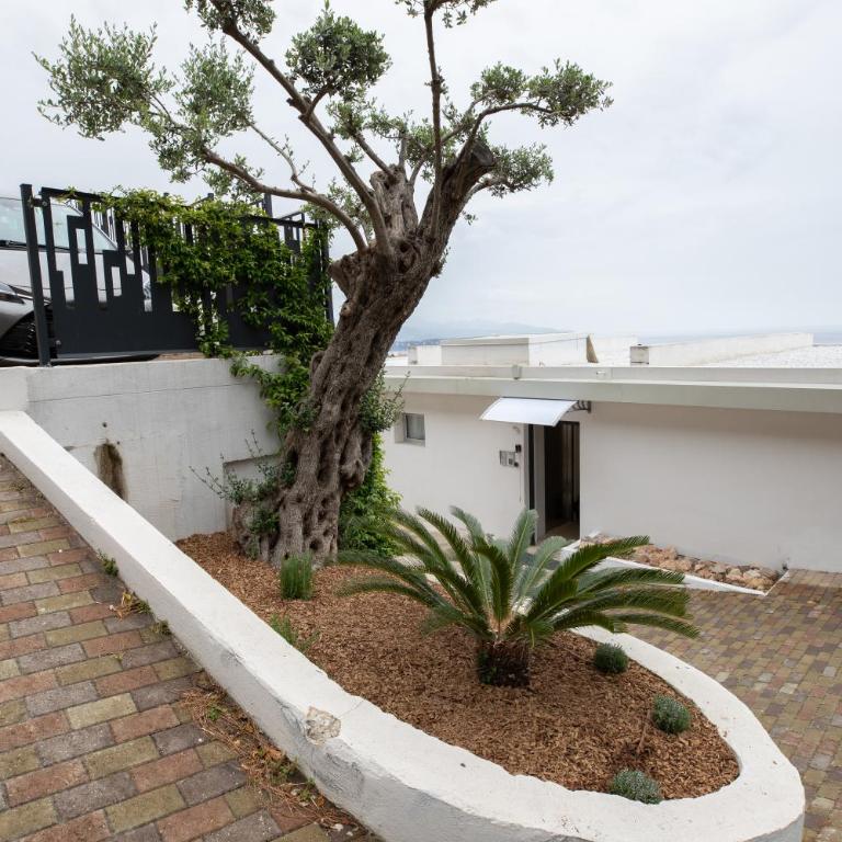 Mont des Olives - Cap D'ail- app6 - Appartement 1 Chambre - 46