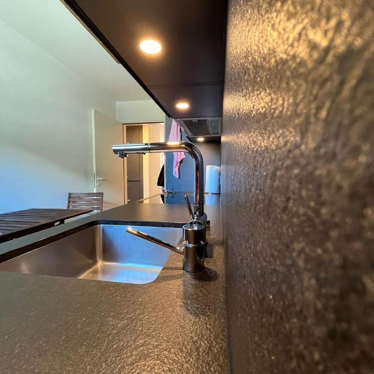 WEF 2027 Ferienwohnung, 3 Minuten Fussweg zum Kongresshaus, geeignet für 2 Personen - Apartment mit Balkon - 49