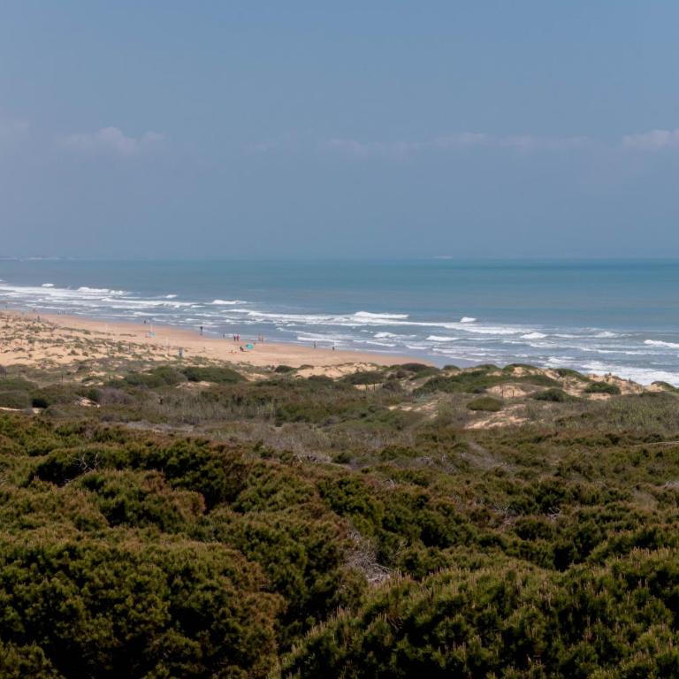 Amazing apartment 50 m from the beach - Apartamento de 2 dormitorios - 28