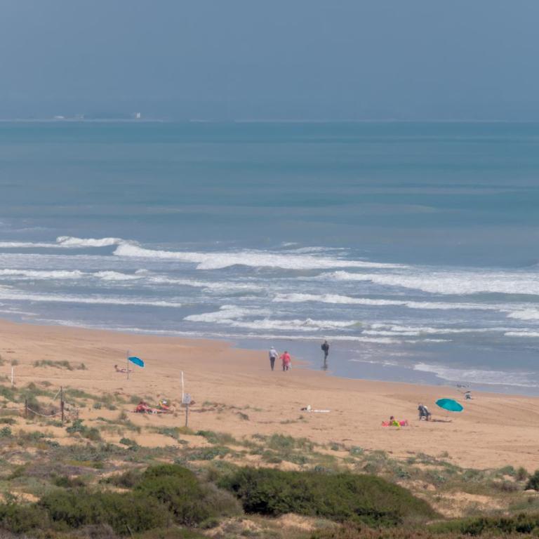 Amazing apartment 50 m from the beach - Apartamento de 2 dormitorios - 36
