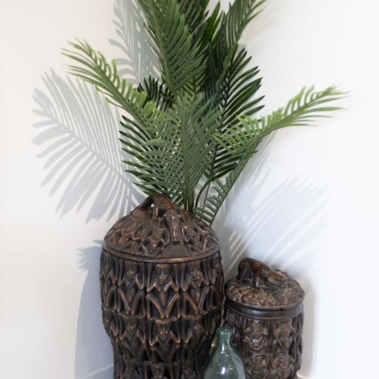 Doux Cocon Tropical au cœur du centre ville - Appartement 1 Chambre - 30