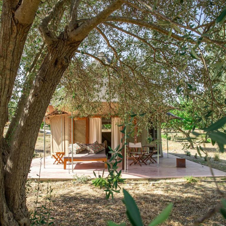 IUTA Farm - Lodge - 8