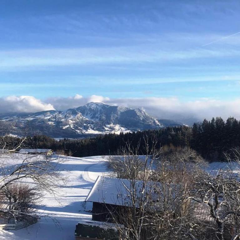 Hotel Bergstätter Hof - Doppelzimmer mit Balkon (2 Erwachsene + 1 Kind) - 11